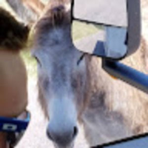 Meet your Posher, Barbara